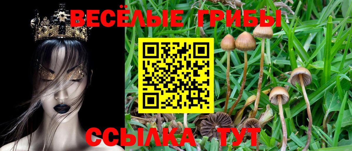 Гусь-Хрустальный  Псилоцибиновые грибы Psilocybine cubensis  Вход с VPN  Галлюциногенные грибы ЛСД 