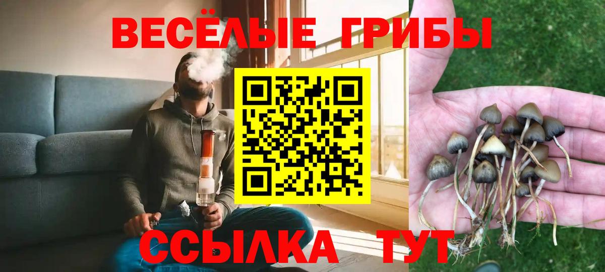 Псилоцибиновые грибы Psilocybine cubensis Гусь-Хрустальный